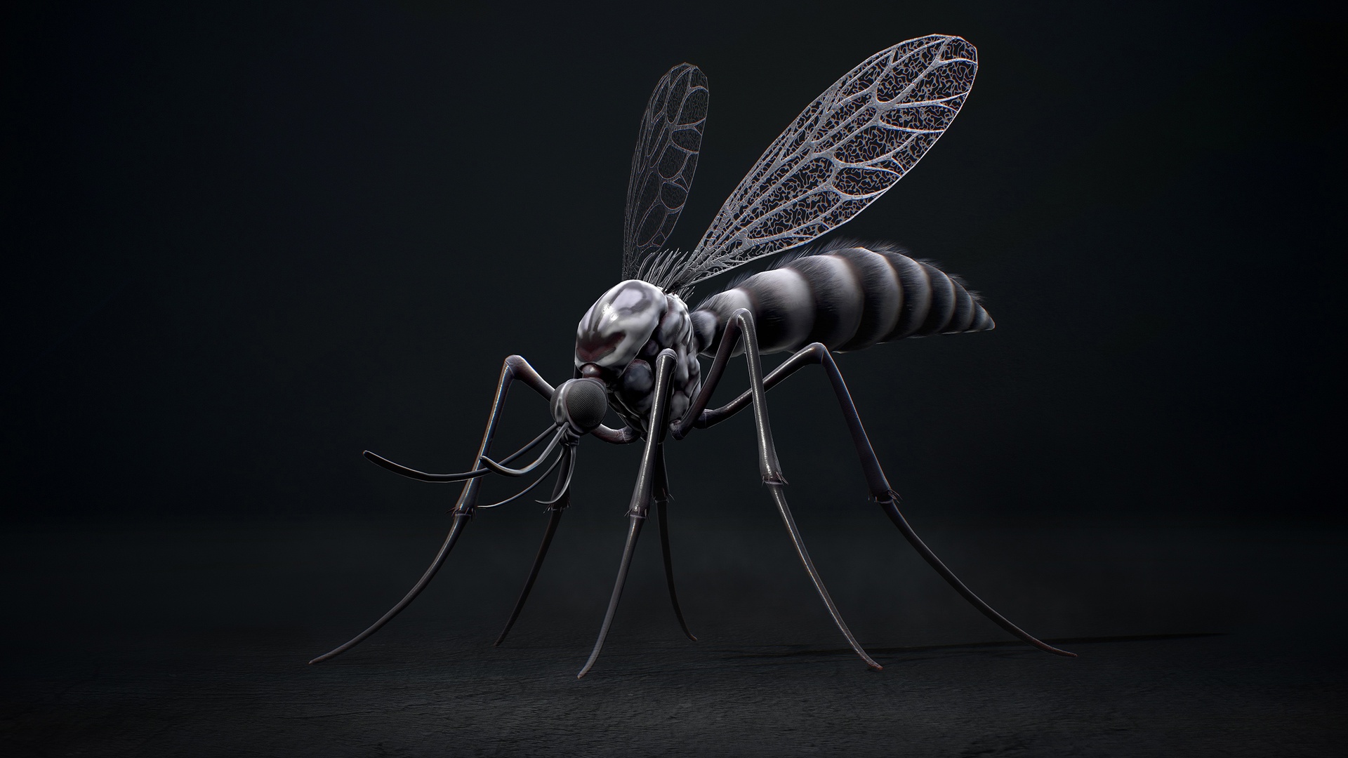 Media 1 for listing Mosquito Defender - Fantasy land Mosquitoes