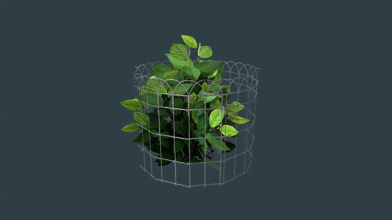 Media 1 for listing Plant Cage with Bush