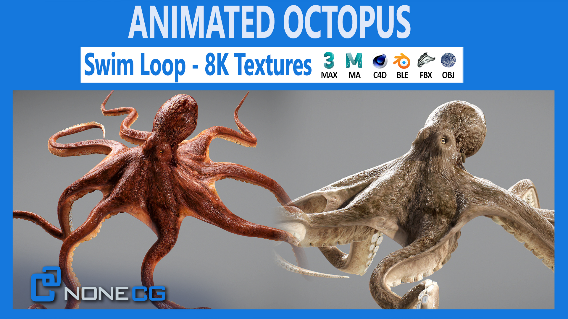 Animated Octopus | Fab