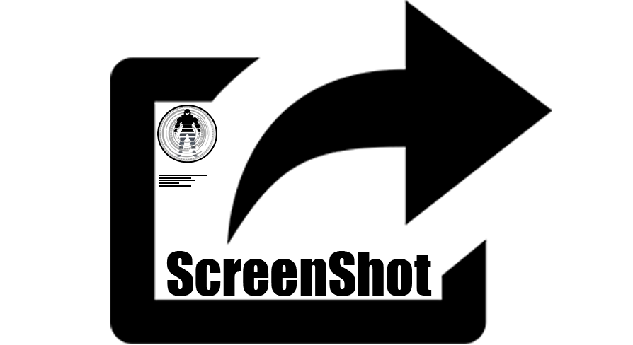 ScreenShot Custom | Fab