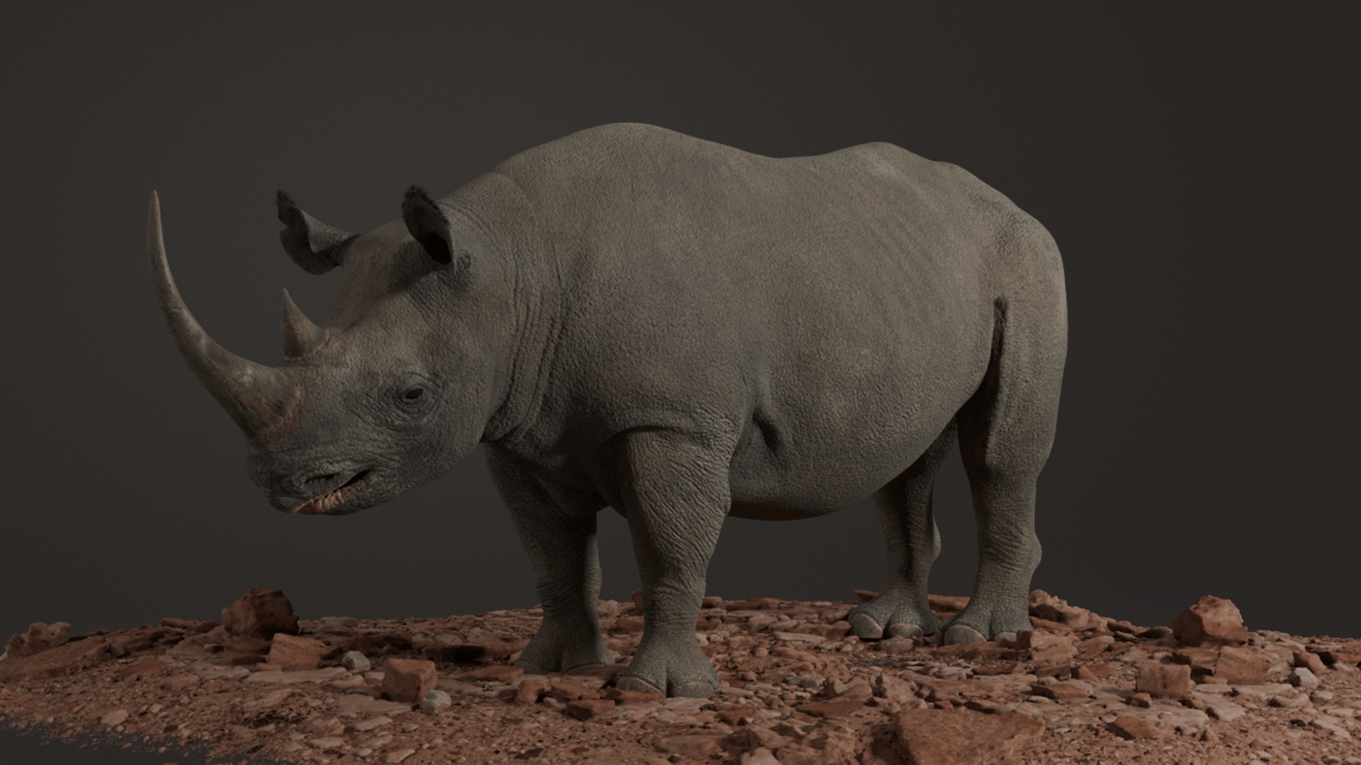 Media 1 for listing 3D Model – Realistic Black Rhinoceros - High Poly - 8K Textures