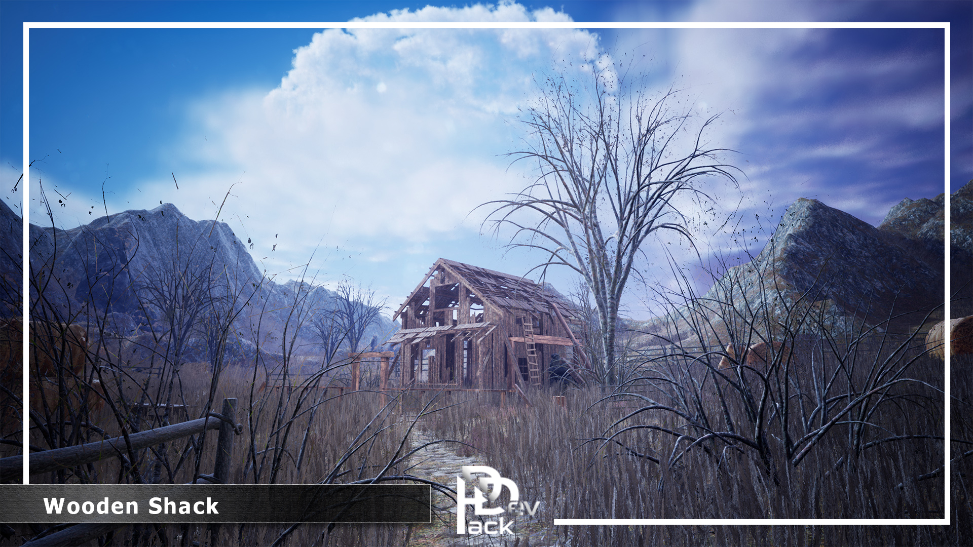 Wooden Shack / 250+ Assets | Fab