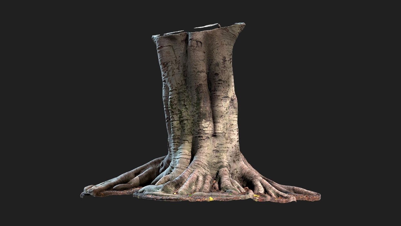 Tree Stump | Fab