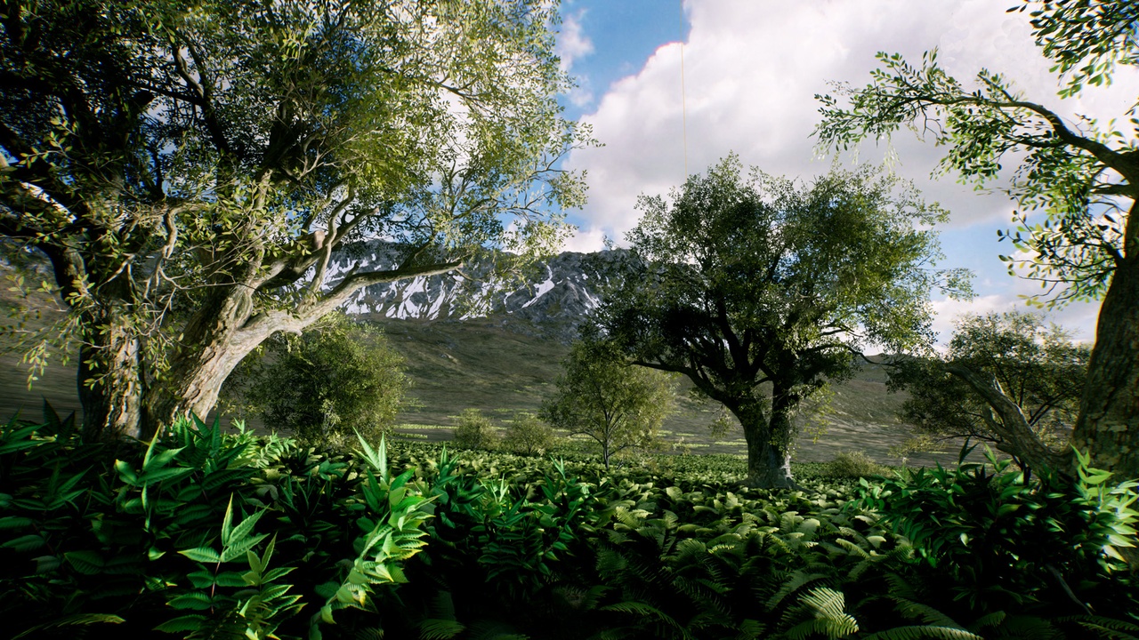 Media 1 for listing Realistic forest vegetation lowpoly