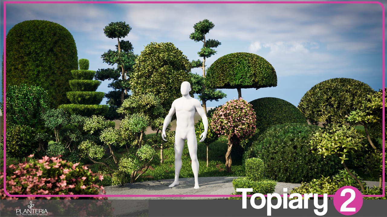 Media 1 for listing Topiary 2