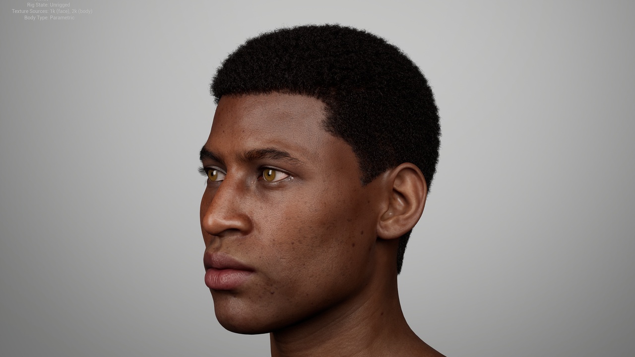 Media 1 for listing Classic Short Coily Box Afro with Shape-Up – MetaHuman Groom