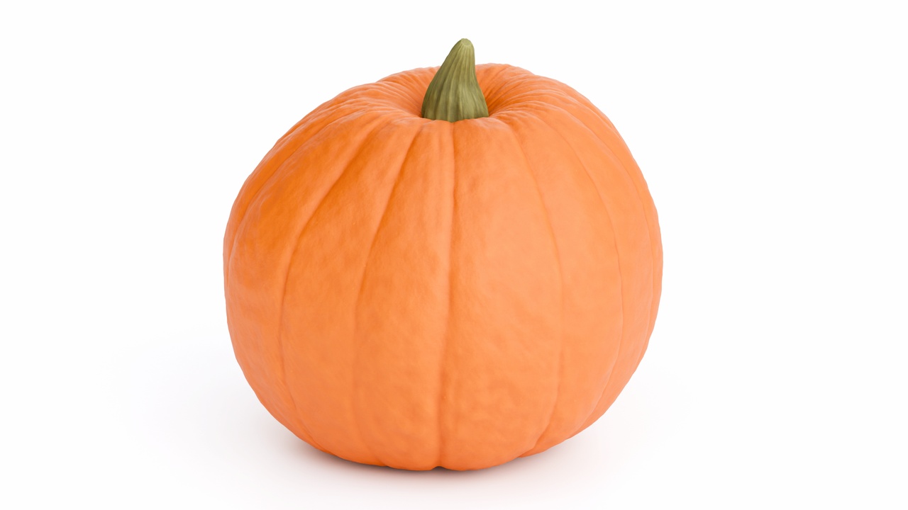 Media 1 for listing Pumpkin