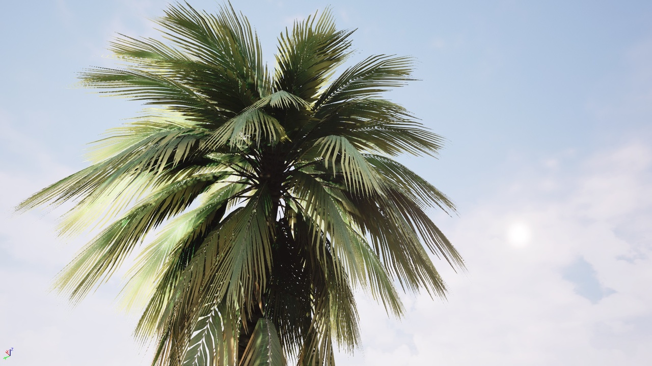Media 1 for listing Realistic Palm Pack (Mobile/Desktop)
