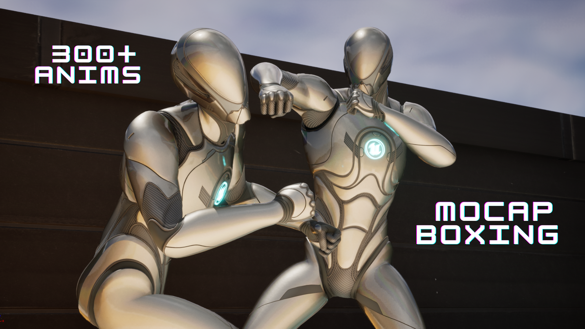 Fighting Animations - Boxing | Fab