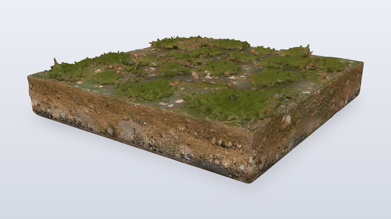 Media 1 for listing Forest Grass and Dirt Terrain Tile