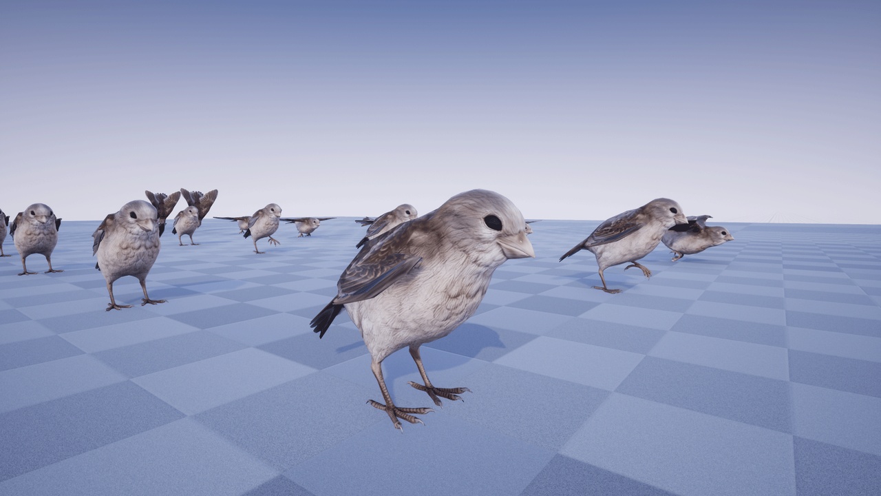 Media 1 for listing SPARROW