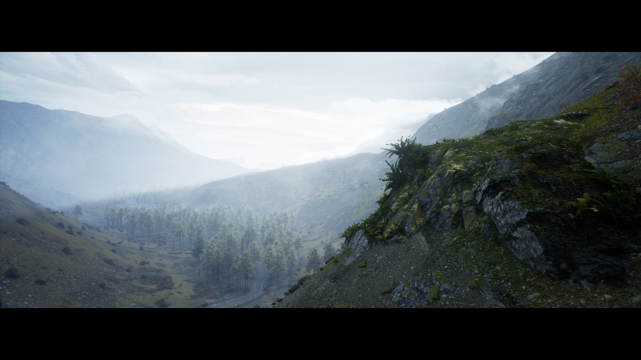 Media 1 for listing Forest Walk
