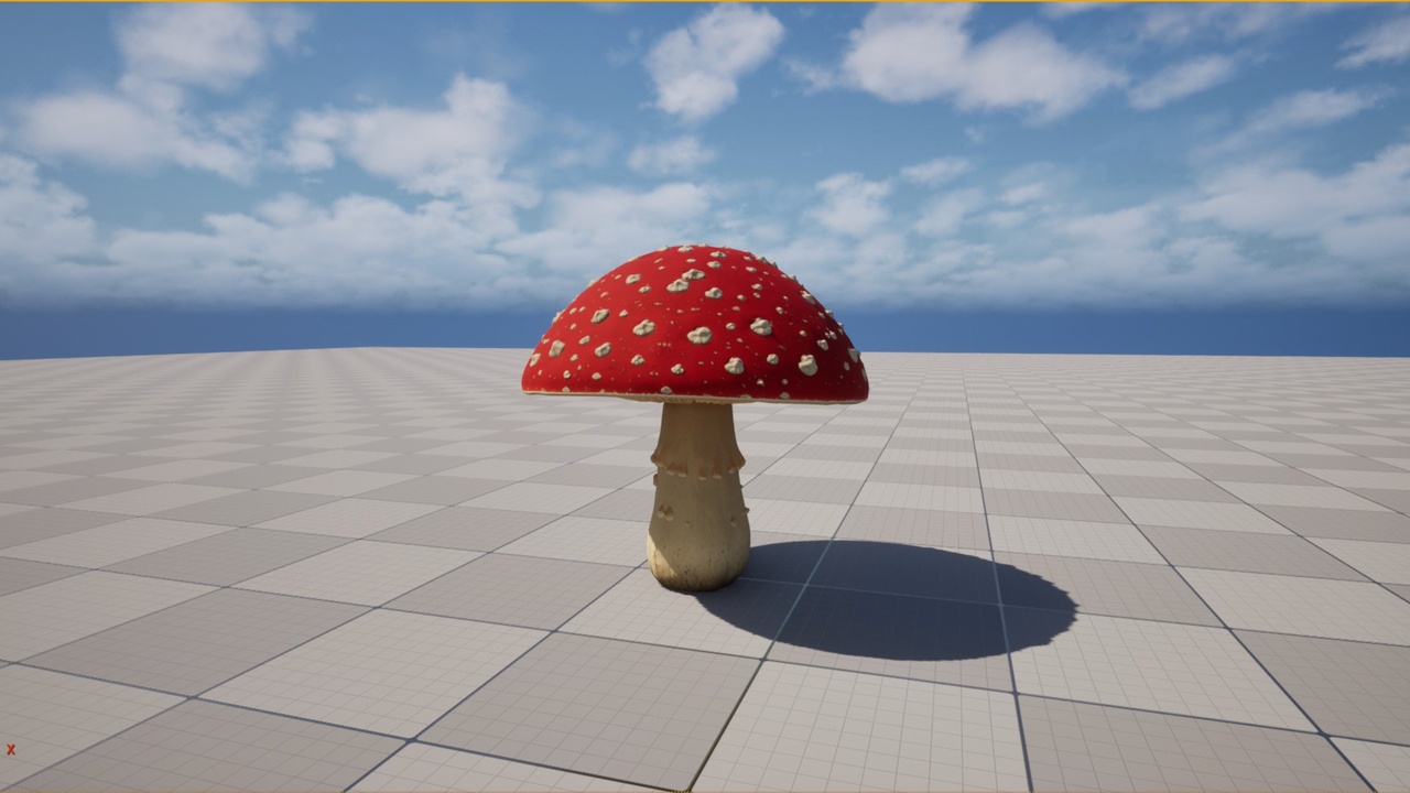 Media 1 for listing Magical Mushroom