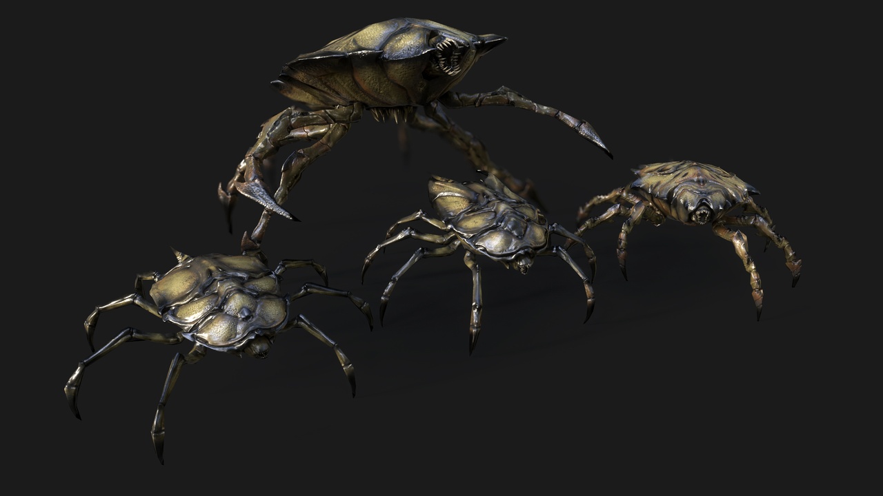 Média 1 pour l'article Insect Crawlers
