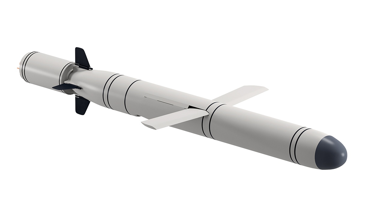 Media 1 for listing Generic long Cruise Missile