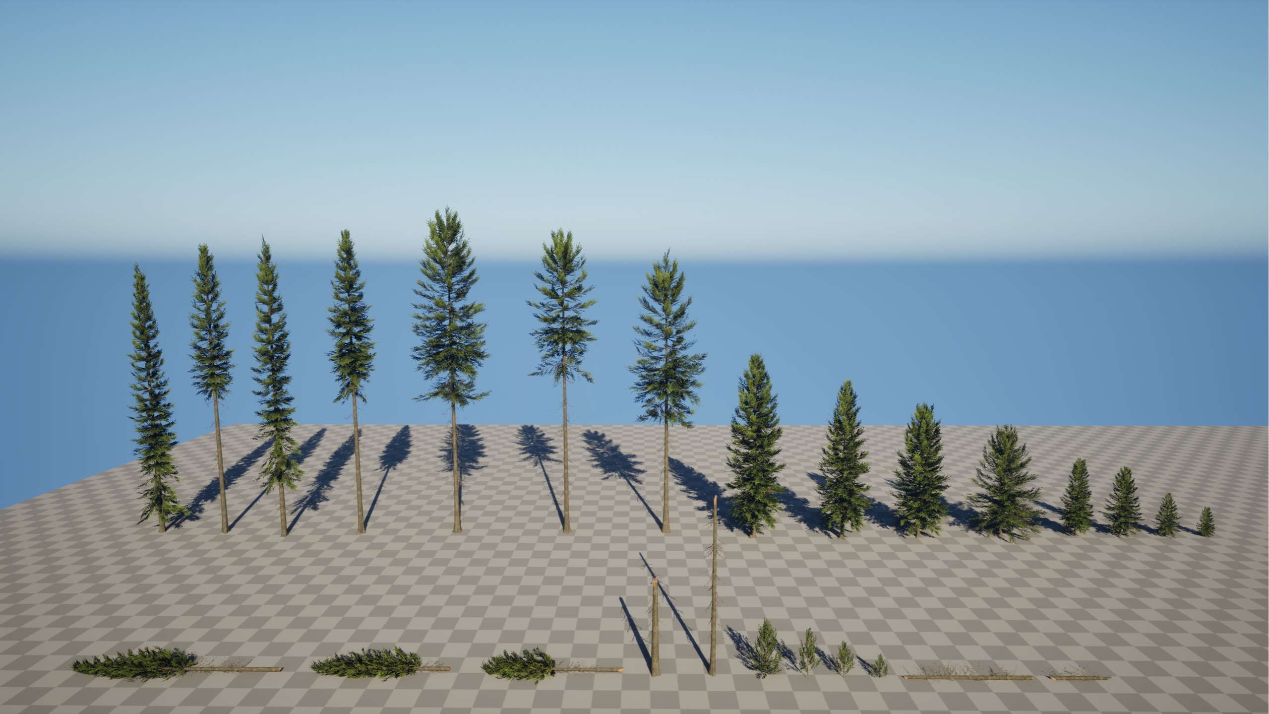 Media 1 for listing Realistic Spruce Trees