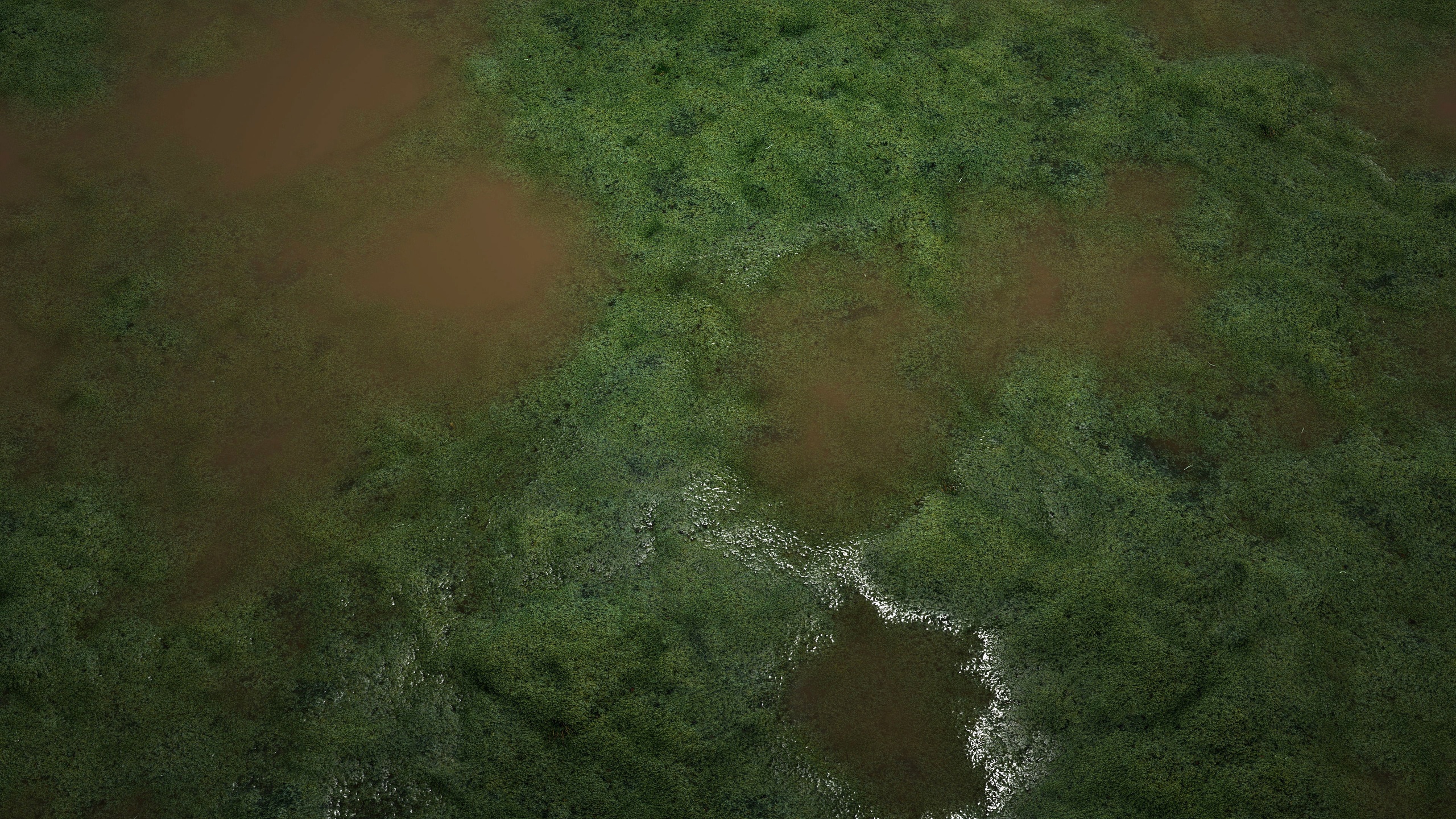 Media 1 for listing Swamp Water 8K PBR Texture