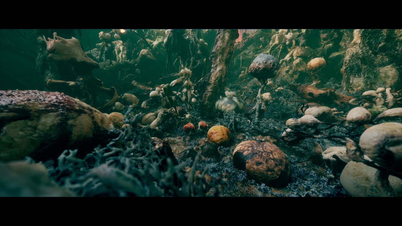 Media 1 for listing Alien Growth Environment