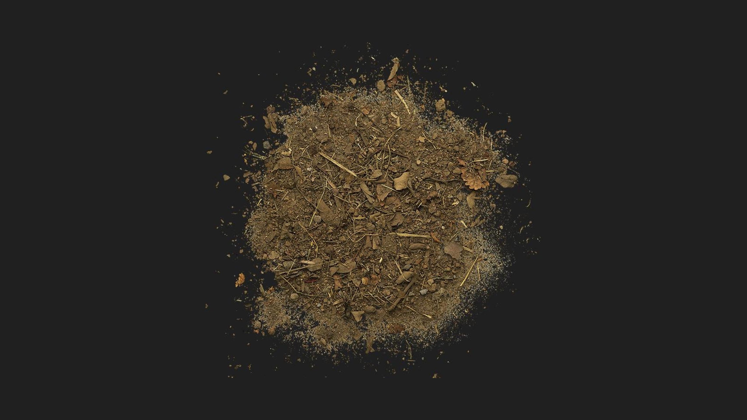 Media 1 for listing Debris