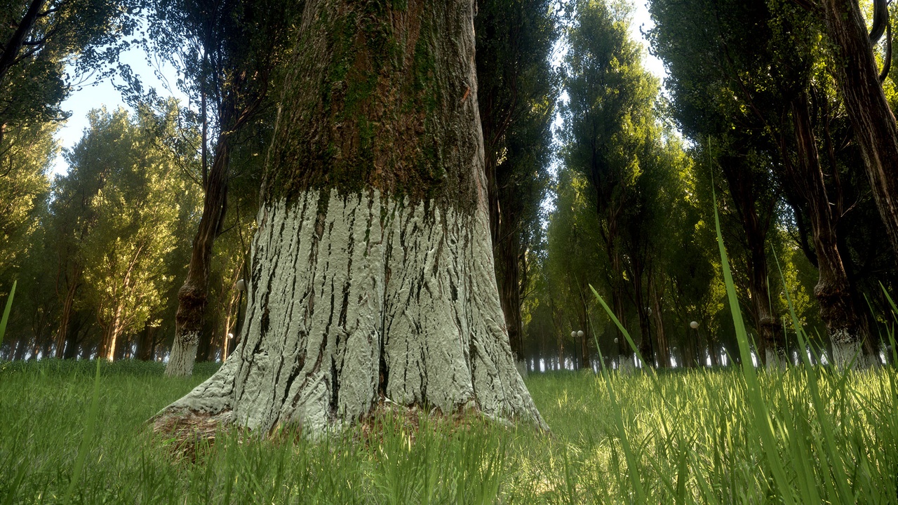 Media 1 for listing Piramidal Poplar pack and Green Zone Tool