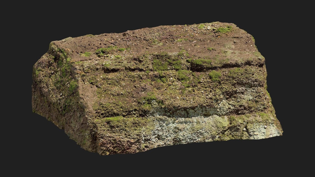 الوسائط 1 للقائمة Forest European Broadleaf Ledge Rock S 01