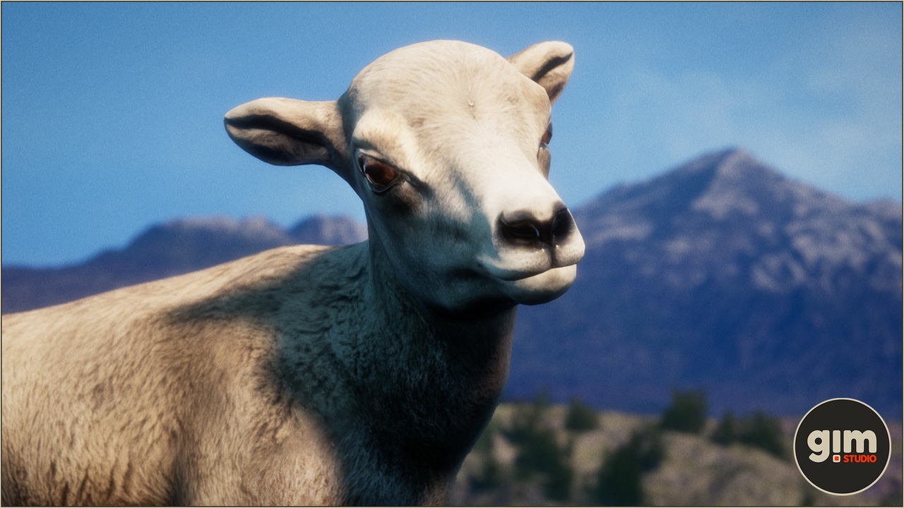 Media 1 for listing Animalia - Bighorn Sheep (young)
