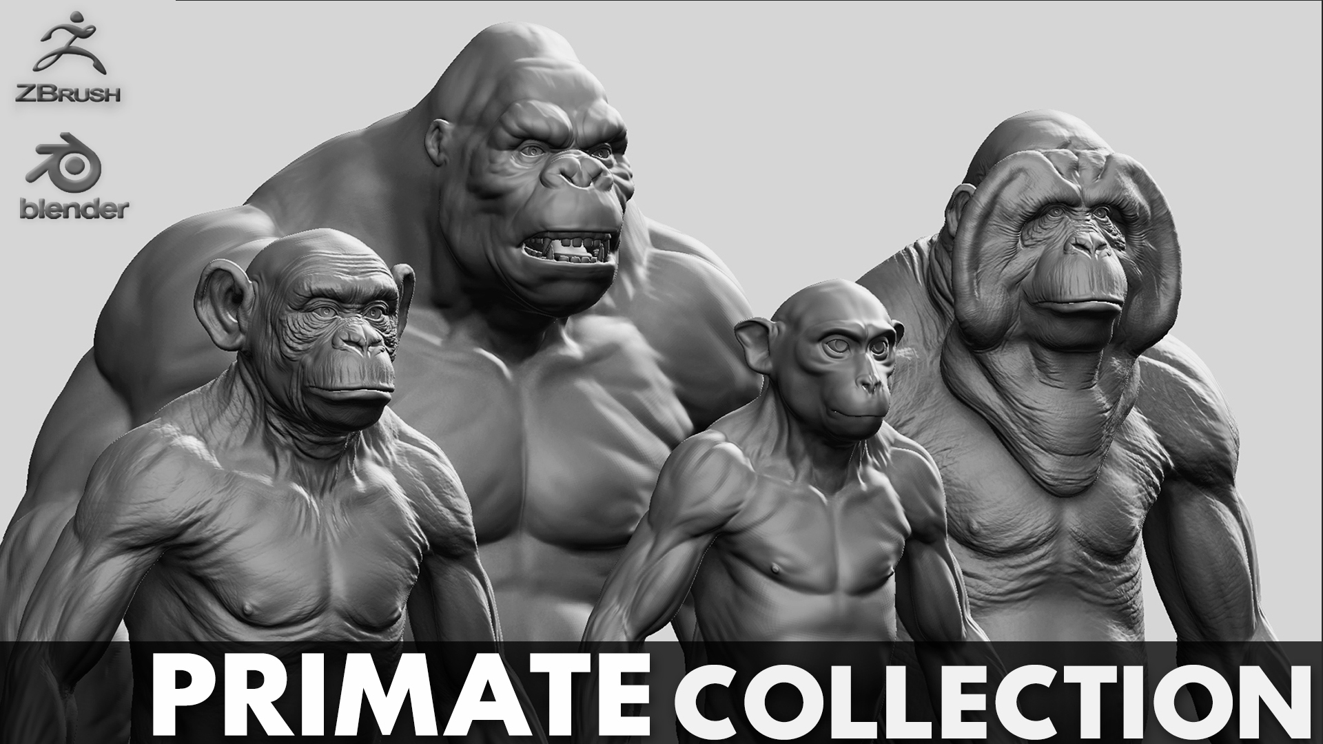 Primate Pack ( Monkey, Chimp, Gorilla, Orangutan ) | Fab