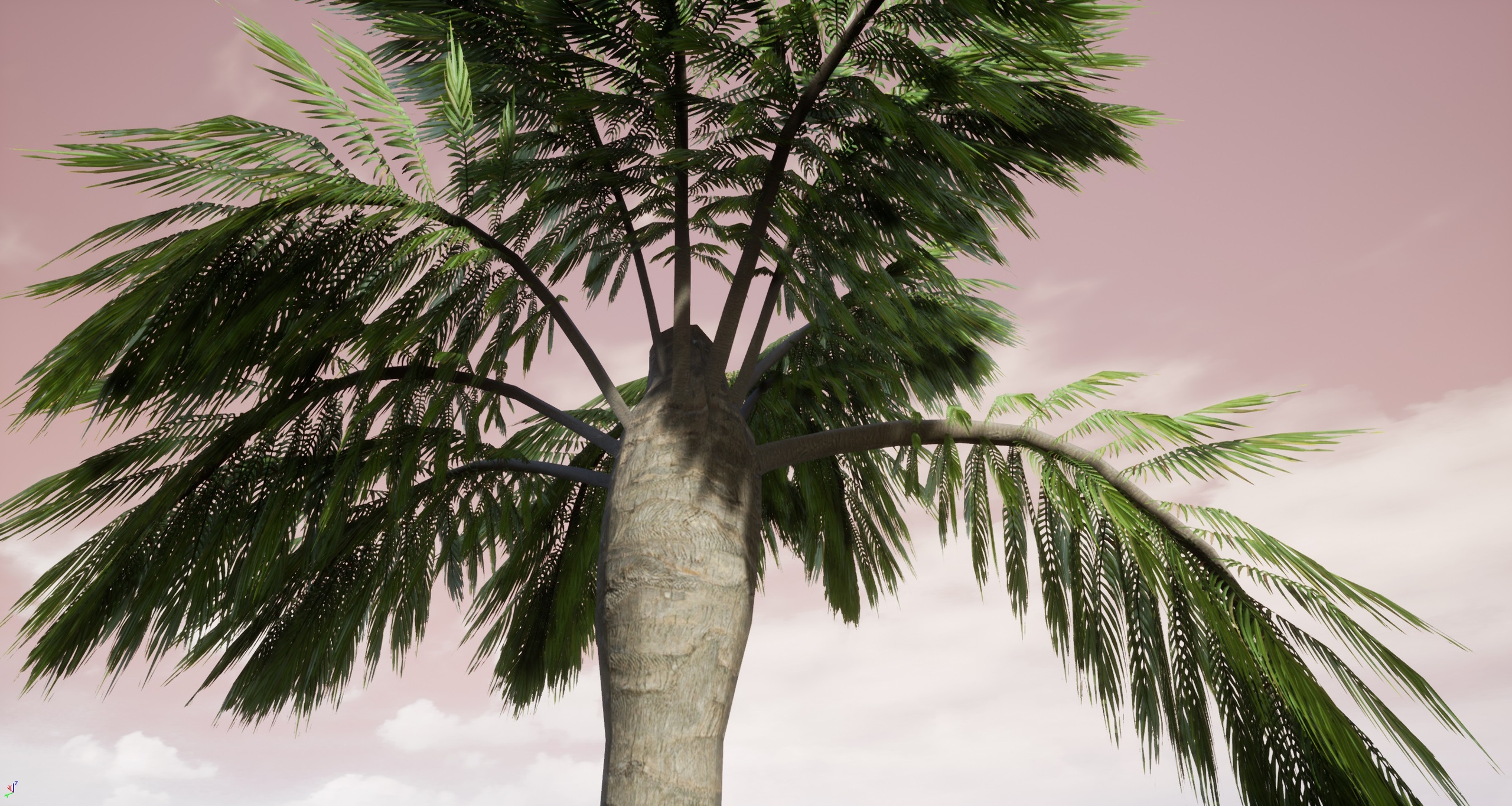 Multimedia 1 para anuncio Palm Tree