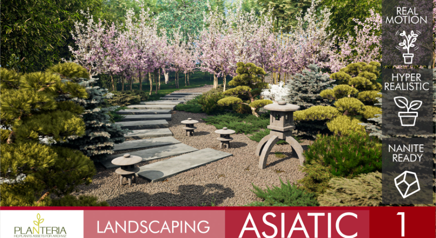Landscaping Asiatic 1 | Fab