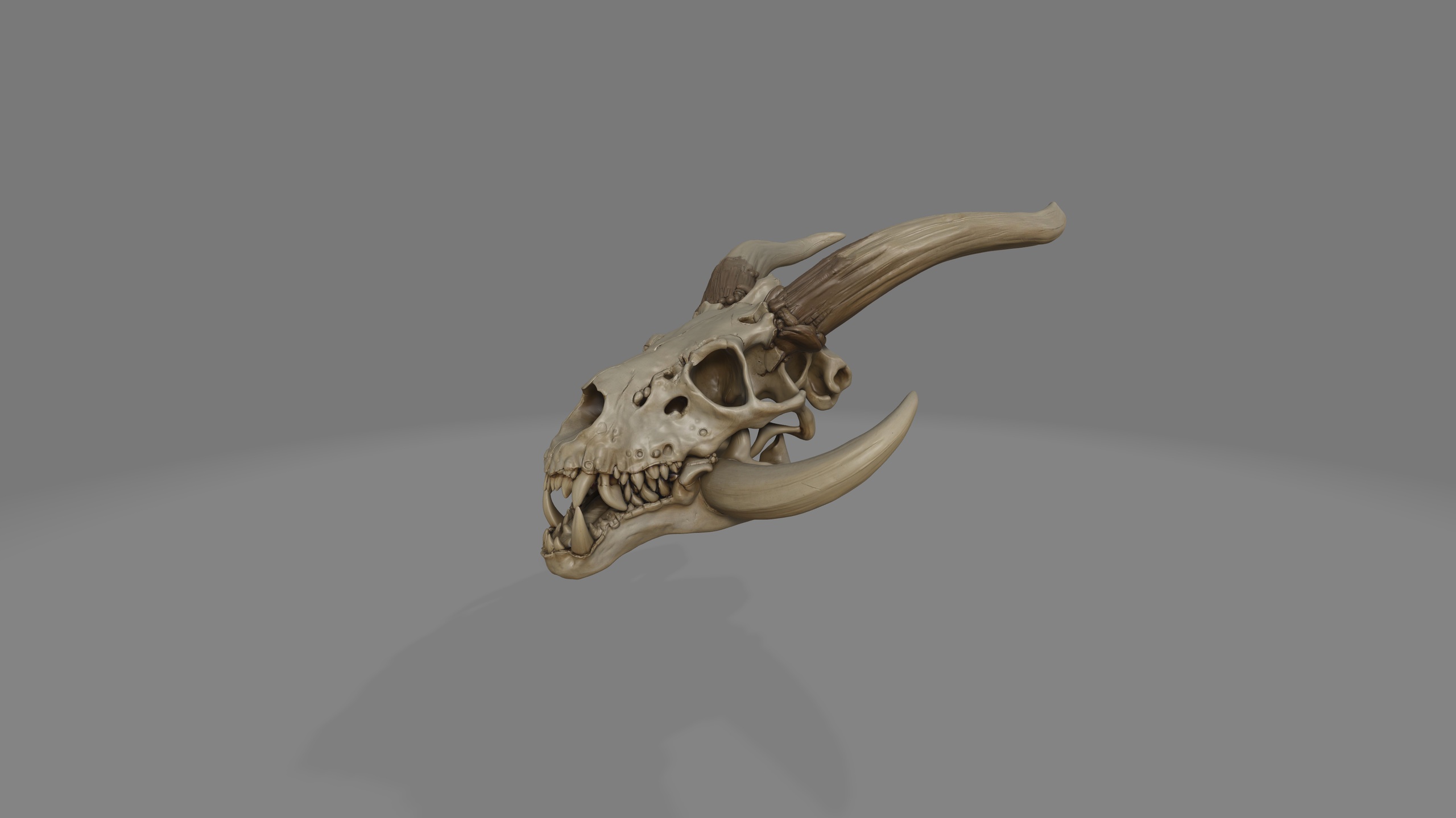 Media 1 for listing Dragon Skull