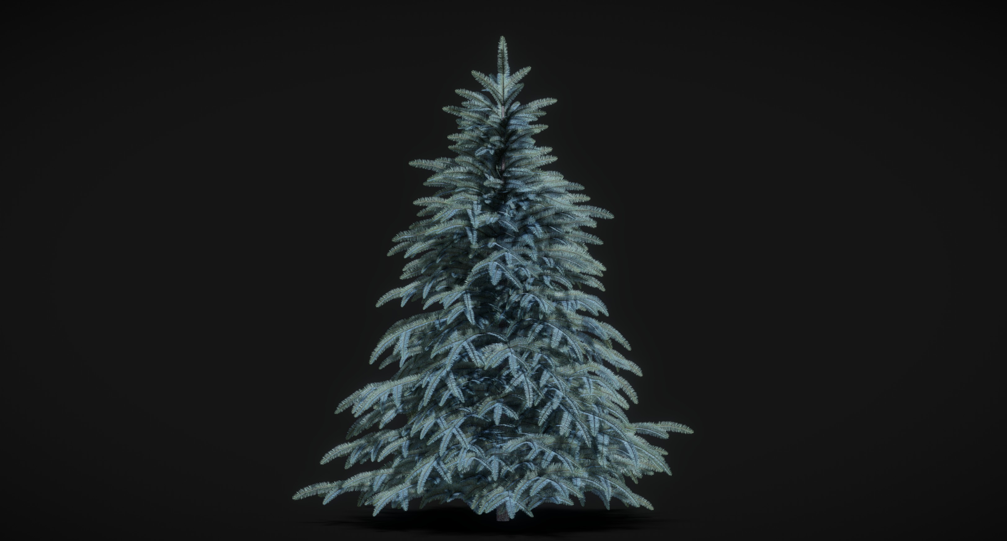 Spruce Tree 3D Model 2.3m | Fab
