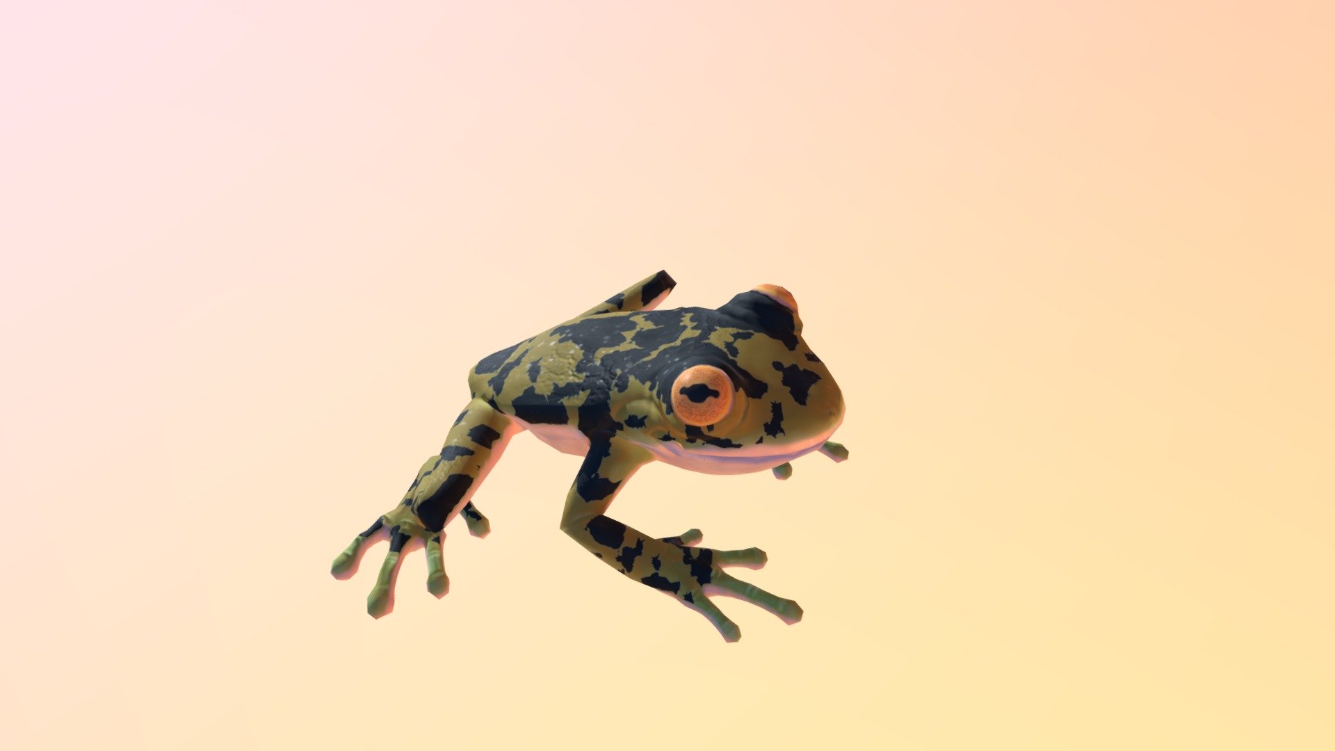 Frog | Fab