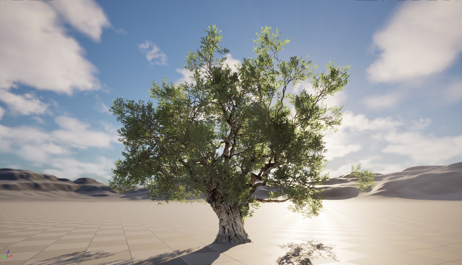 Media 1 for listing Nanite Wind Plants - Scanned Olea europaea - Common olive 02