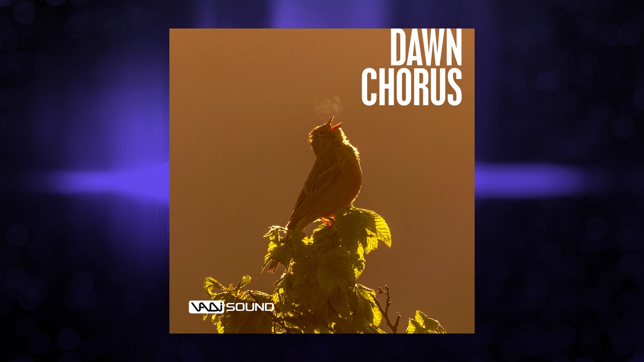 Medium 1 für Eintrag Dawn Chorus SFX Pack
