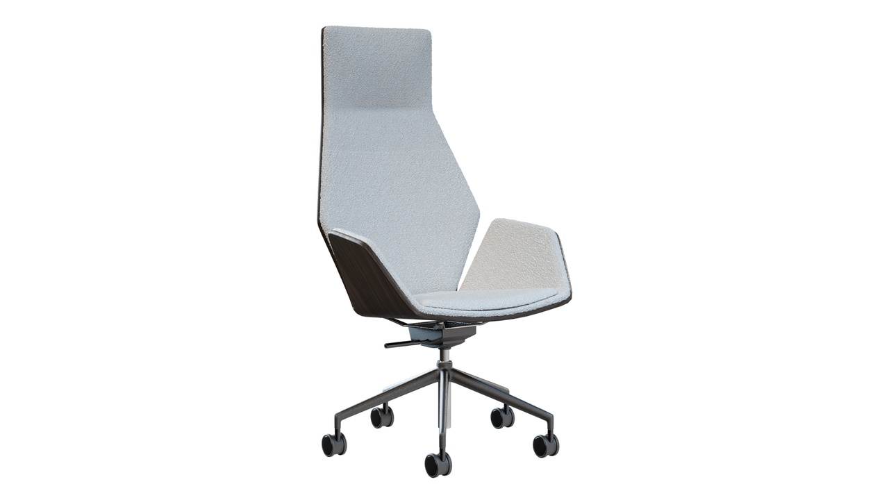 Media 1 for listing Ginko Conference Armchair