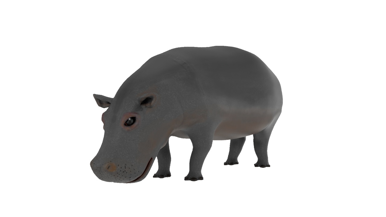 Media 1 for listing Hippopotamus 3D Model Rigged and Animated