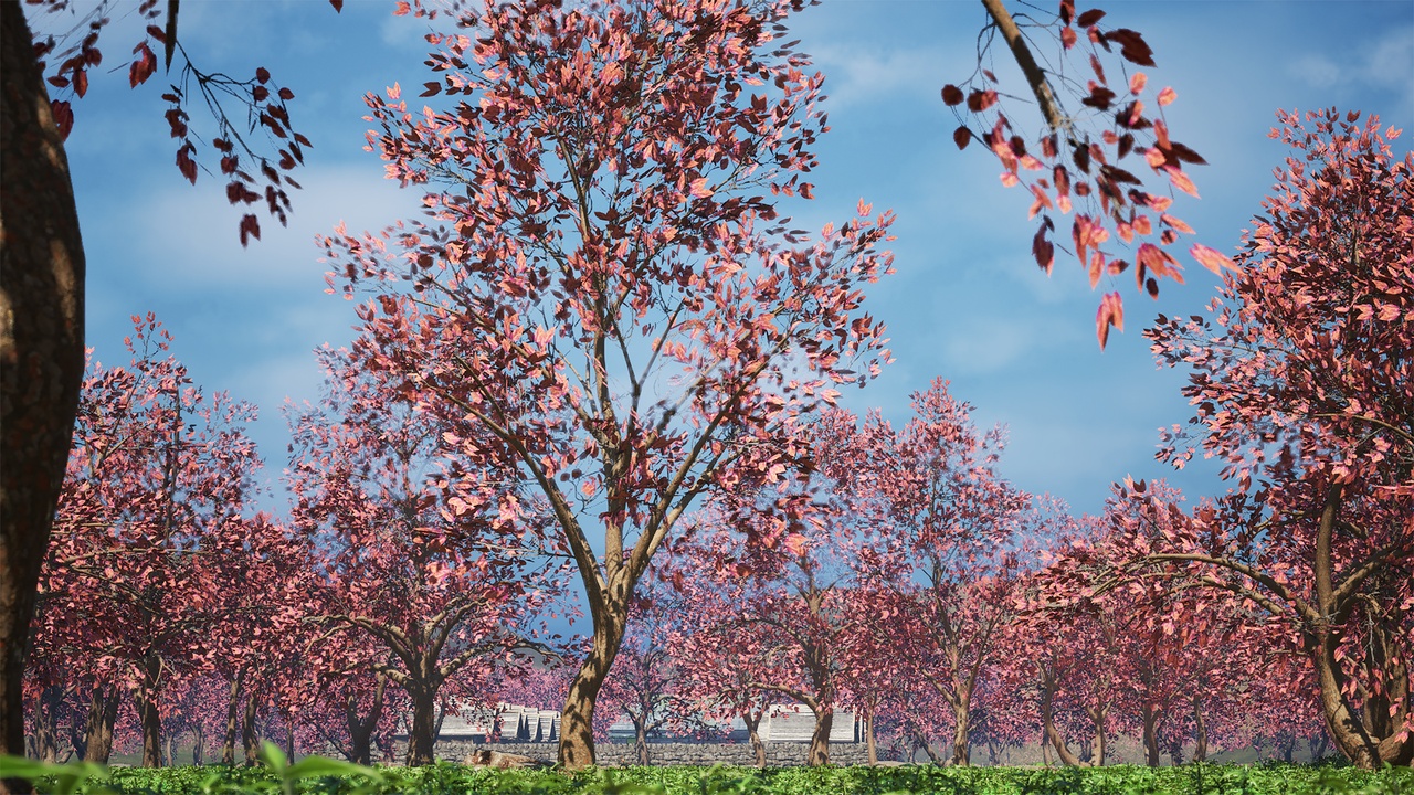 Realistic Tree Pack - Mid Poly 49P | Fab