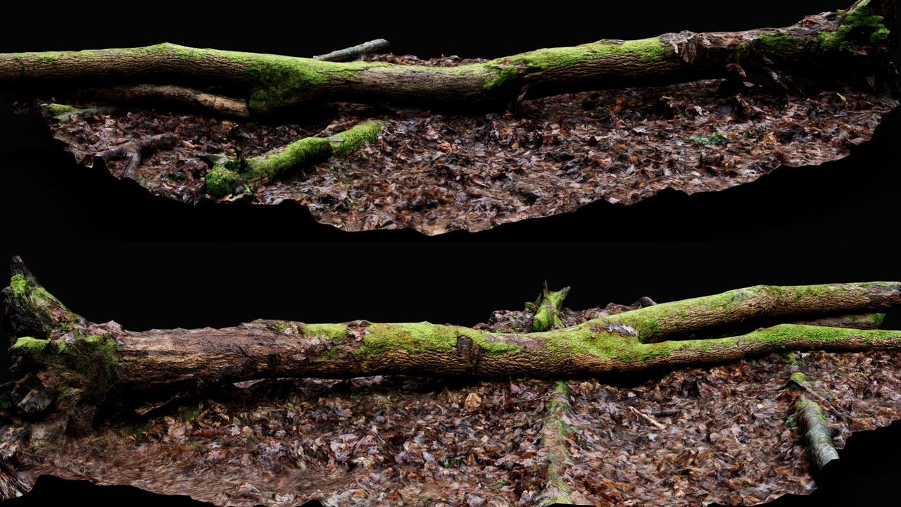 Tree Debrei forest ground mossy tree trunk debris pt13 photogrammetry | Fab