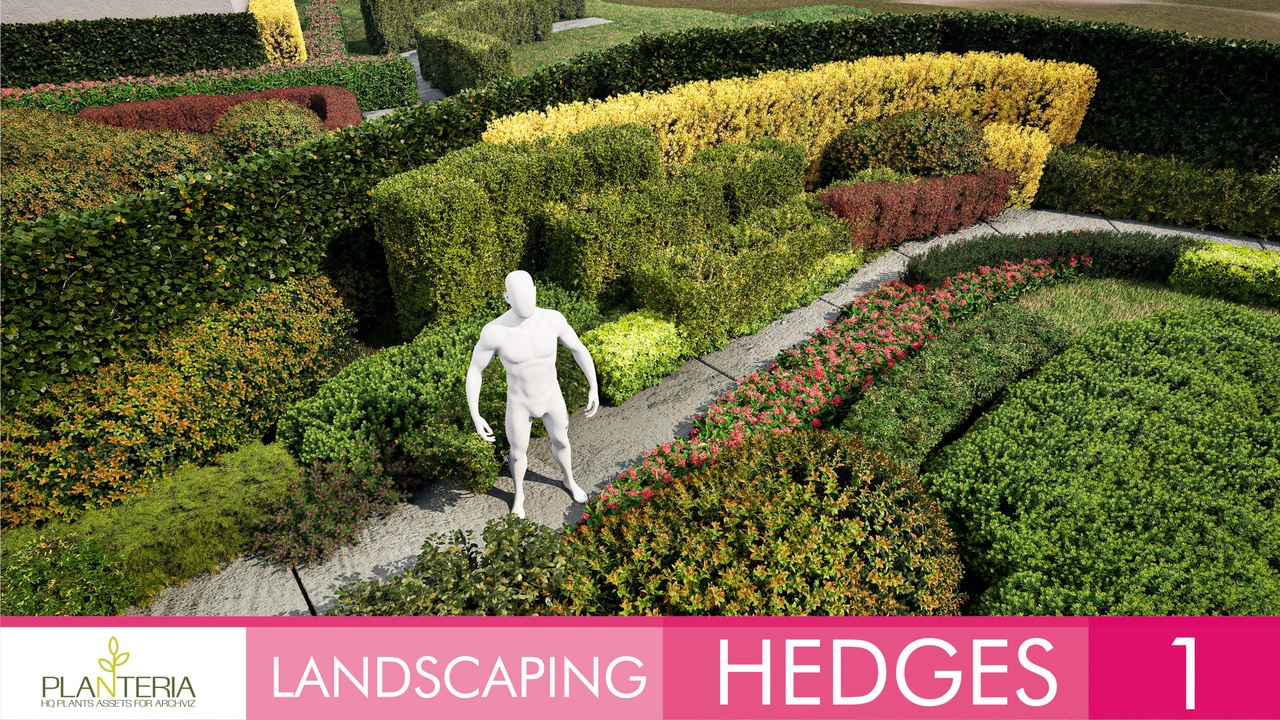 Media 1 for listing Hedges Path 1