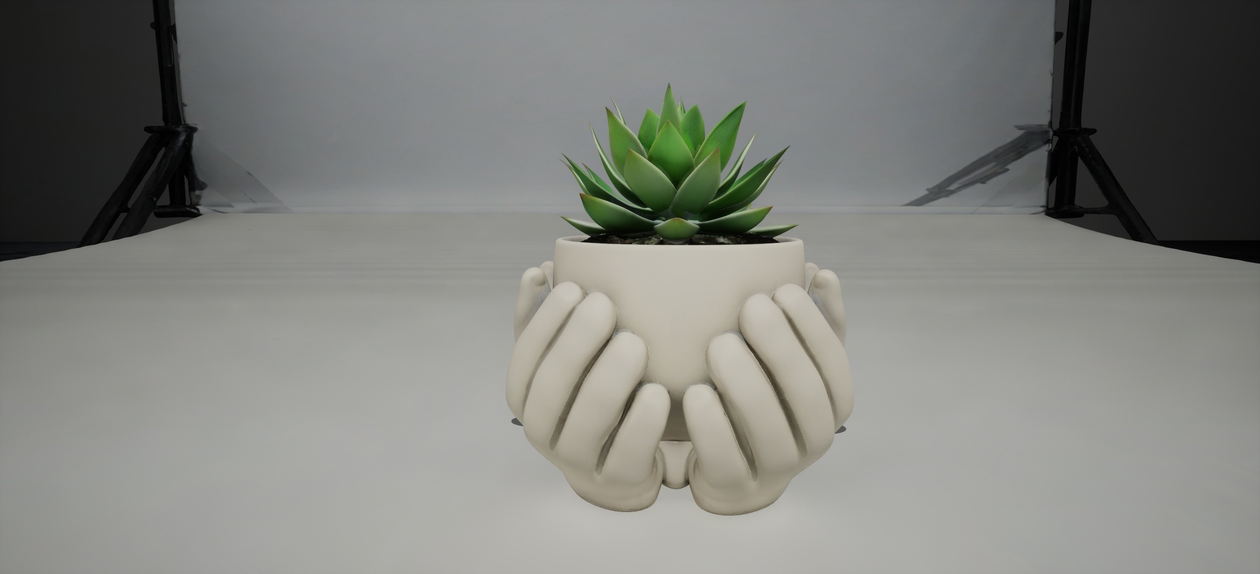 Media 1 for listing Hands Plant Pot With Plant - Prop