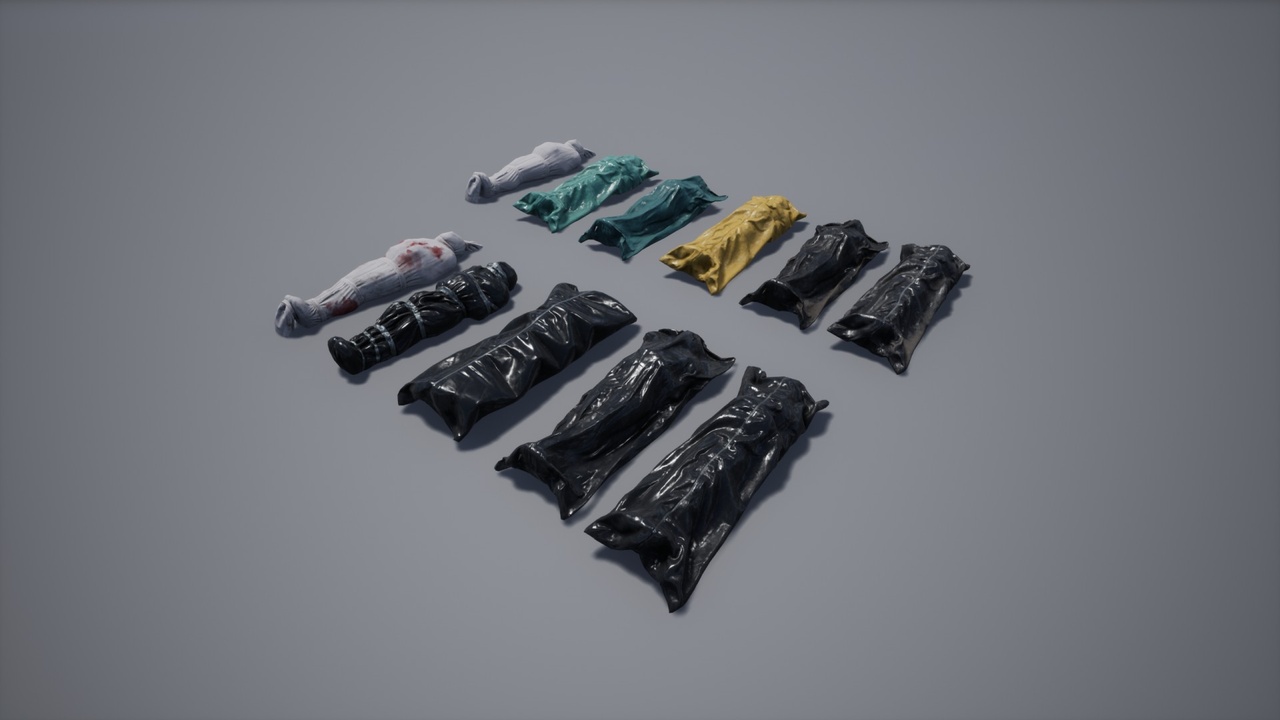 Media 1 for listing Body Corpses Bags