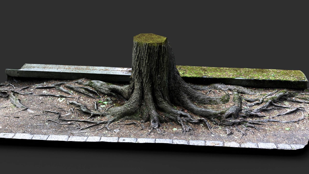 tree stump roots road border PBR photogrammetry | Fab