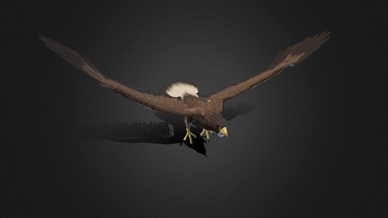 Media 1 for listing Eagle - Rigged - Animated