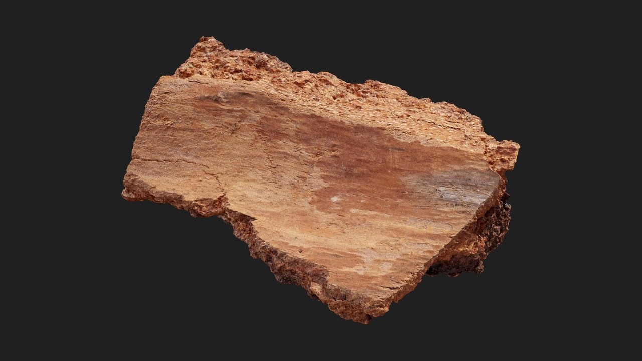 Media 1 for listing Birch Bark Piece