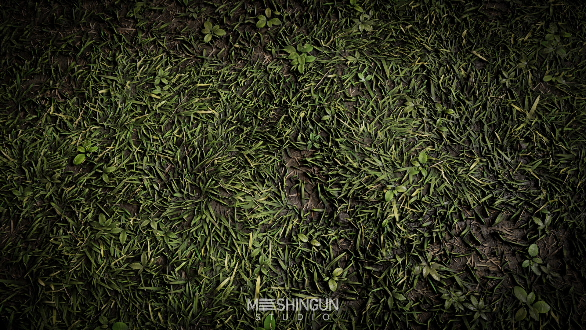 Media 1 for listing [TX] Grass 01