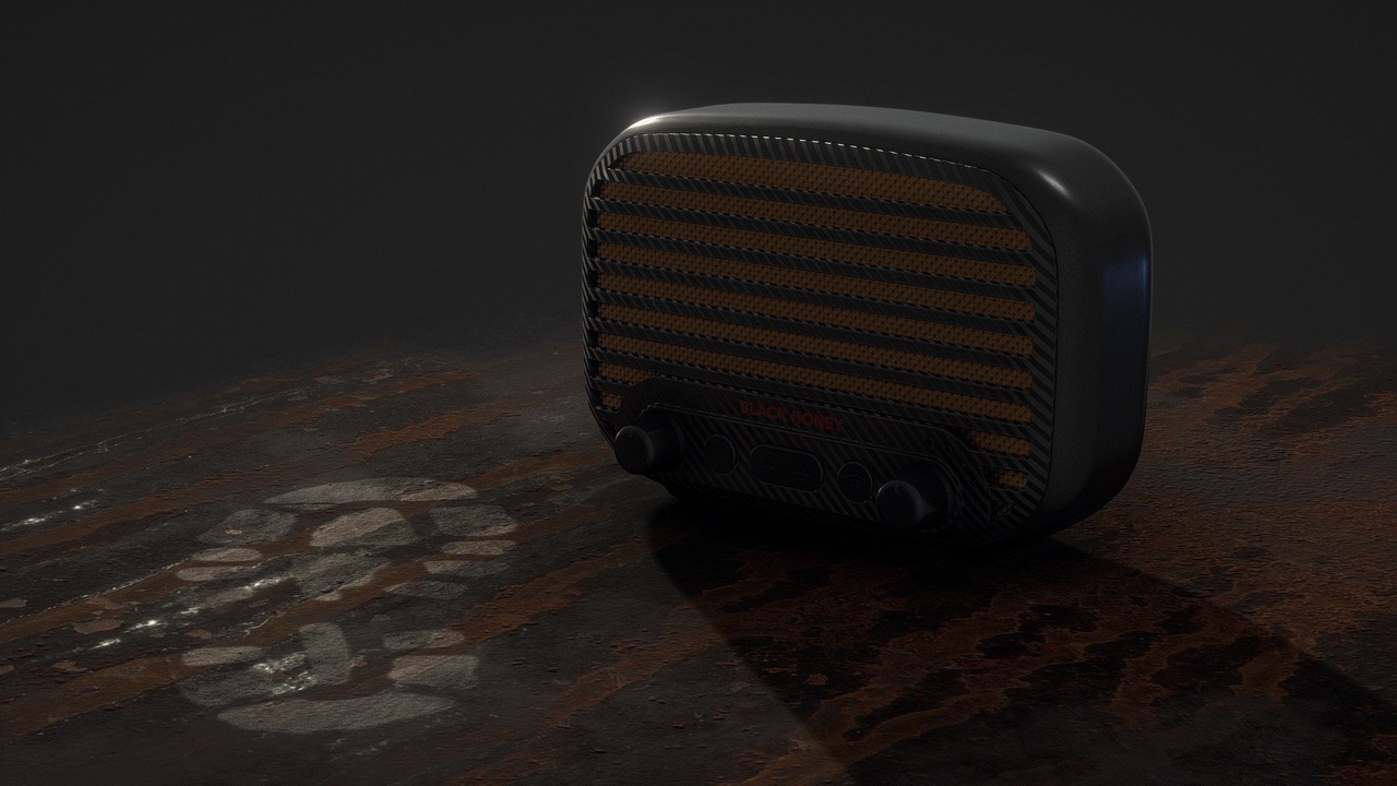 Media 1 for listing Vintage Pocket Radio