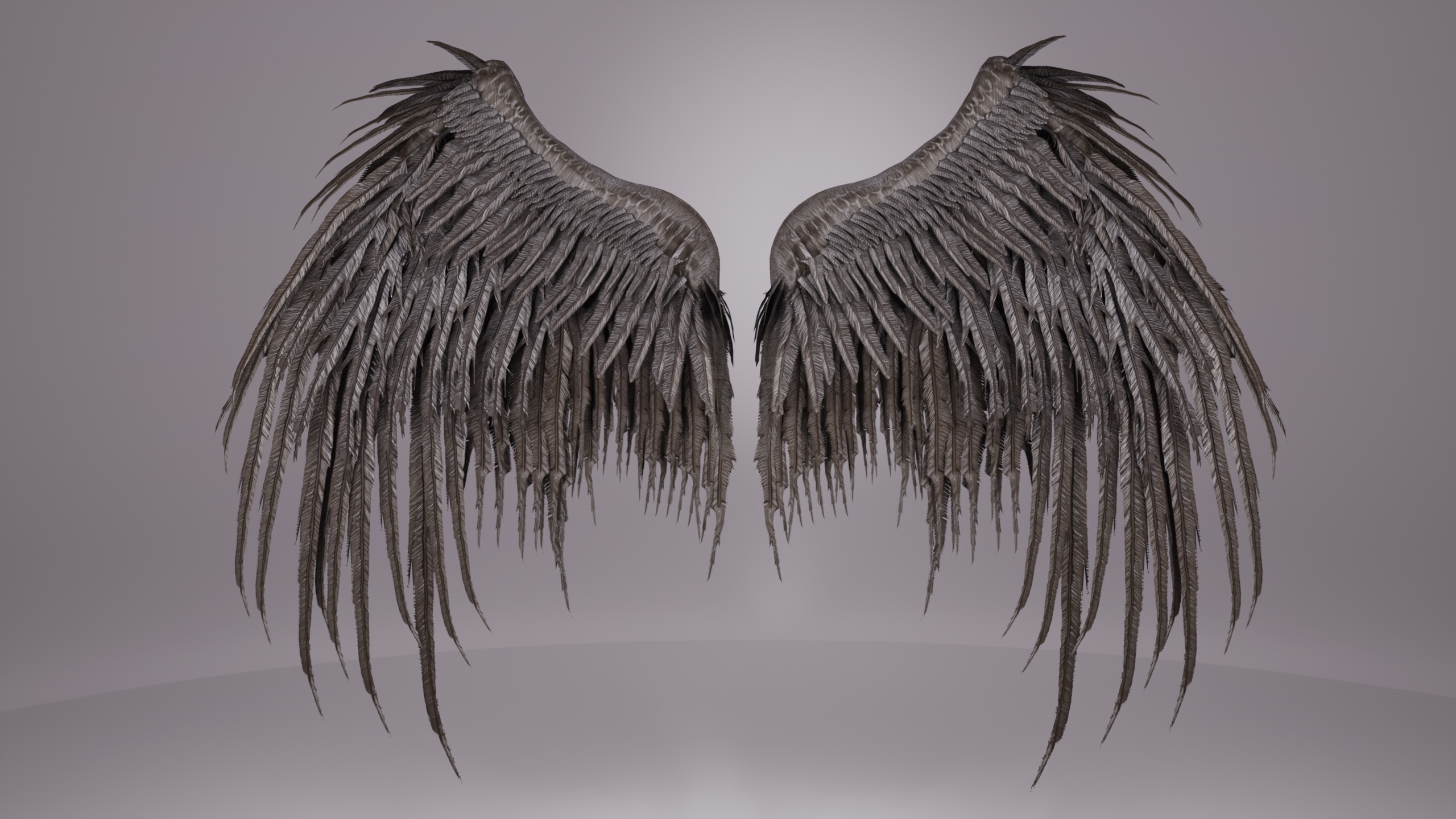 Media 1 for listing Wings