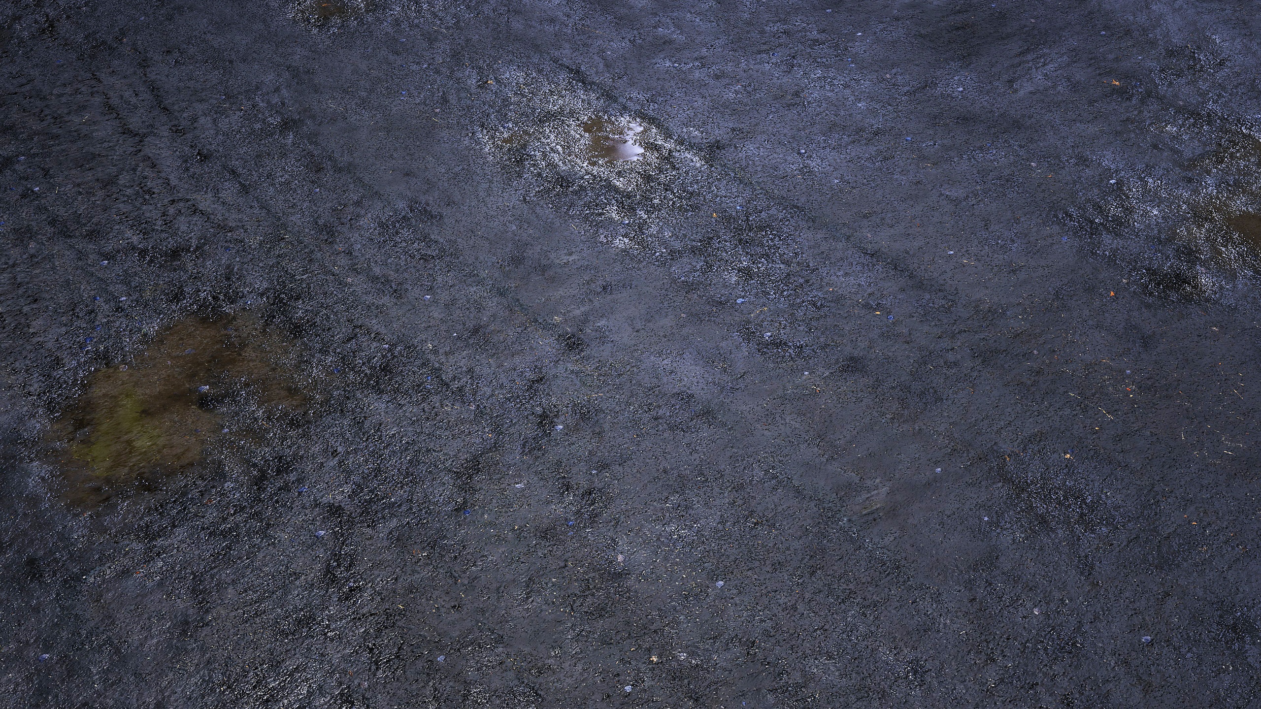 Media 1 for listing Wet Asphalt 8K PBR Texture