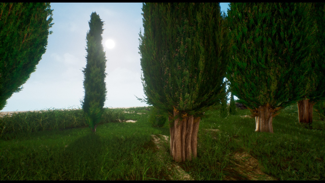 Cypress Tree Collection | Fab