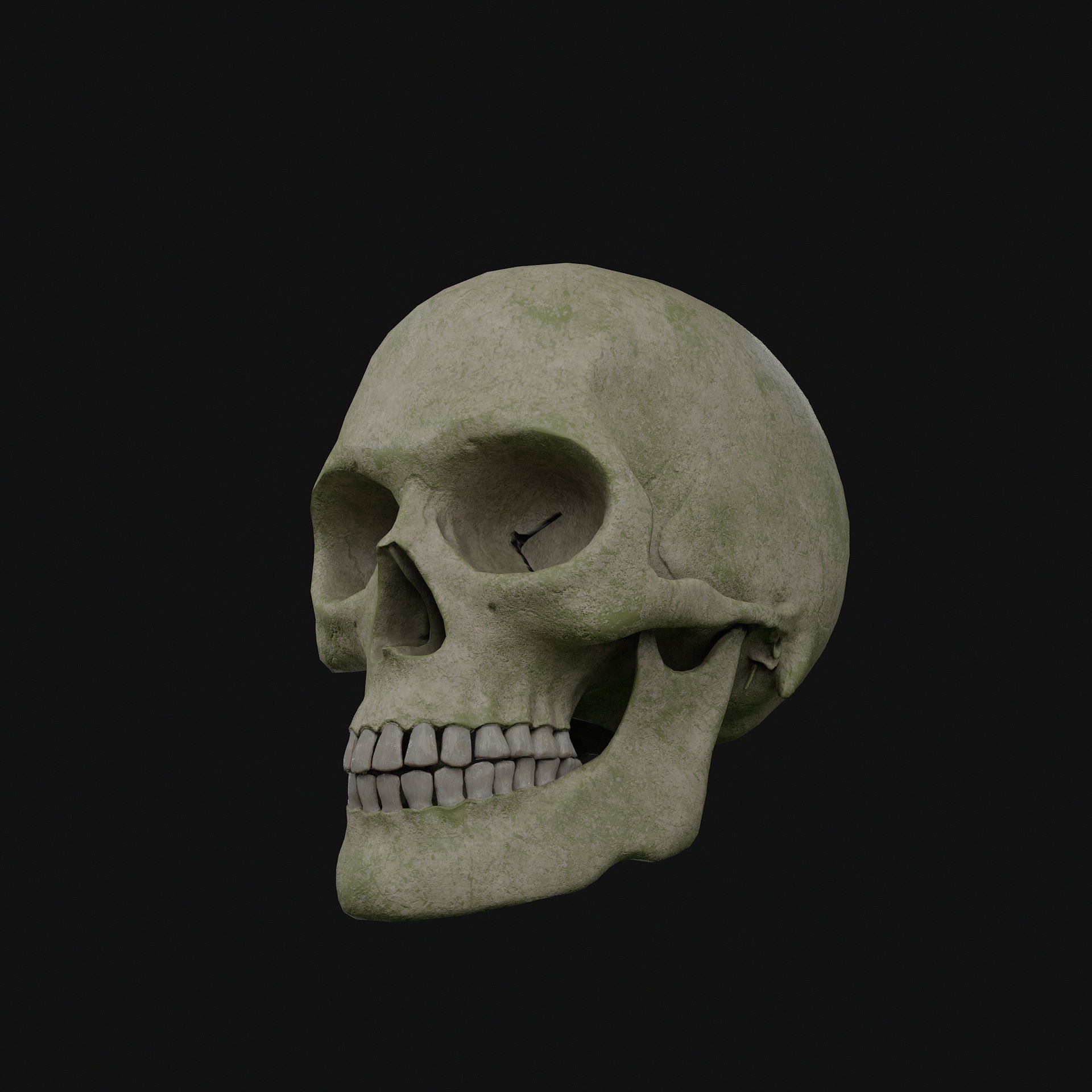 Media 1 for listing Realistic male skull (Game ready with LODs)